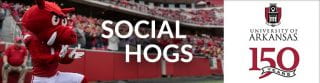 social hogs